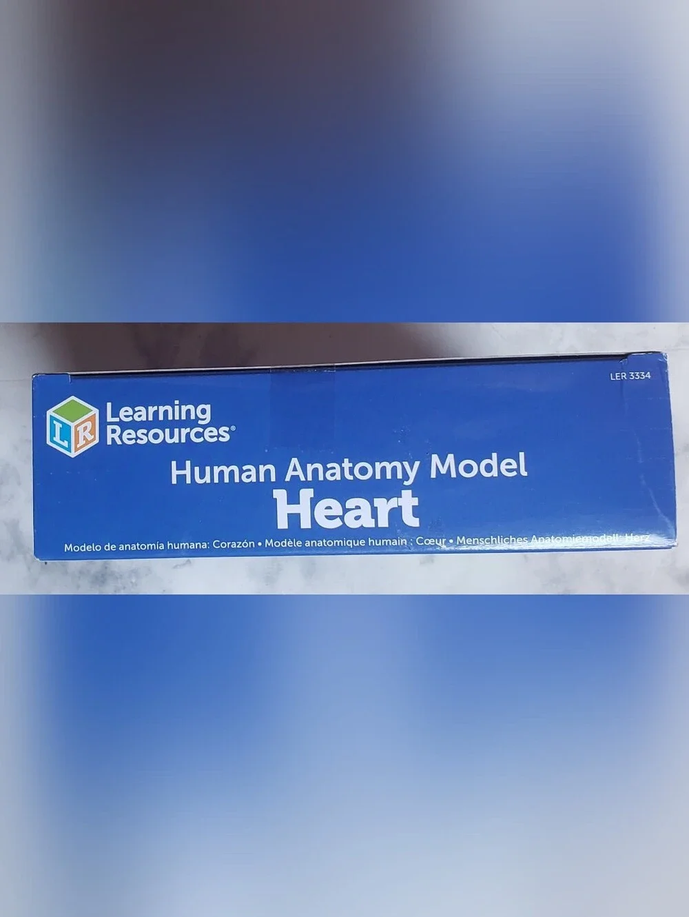 NEW Human Heart Anatomy Model Educational Biology 29-Pieces Learning Resources